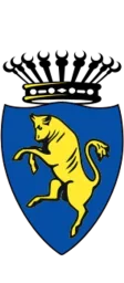 Città di Torino